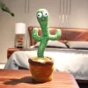 Cactus dansant qui répète ce qui est dit